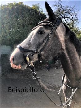 Bridle "Soft Crown"